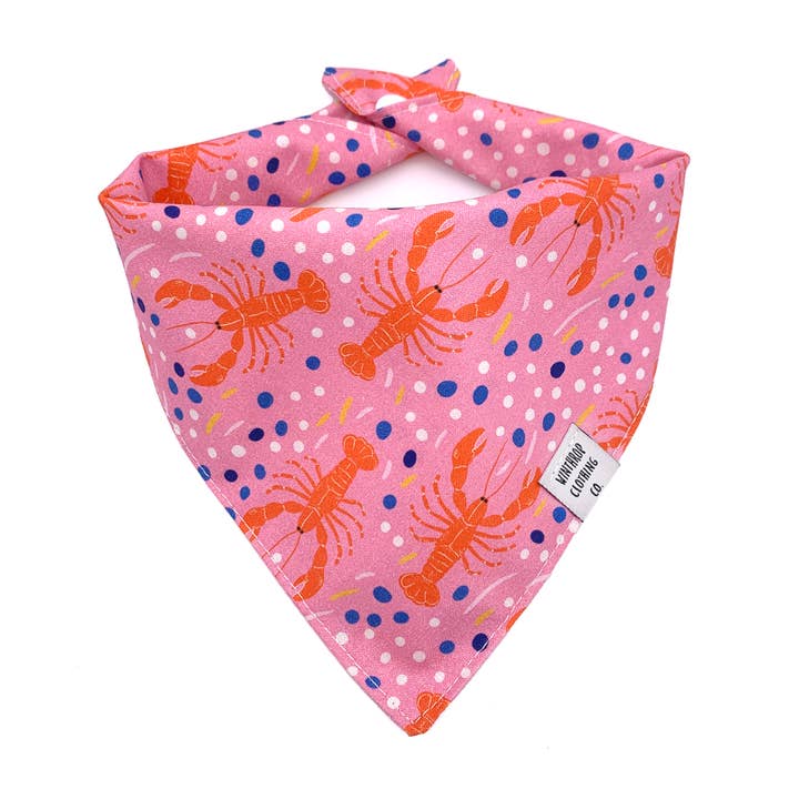 Lobster Pink Dog Bandana for wholesale by Winthrop Clothing Co.