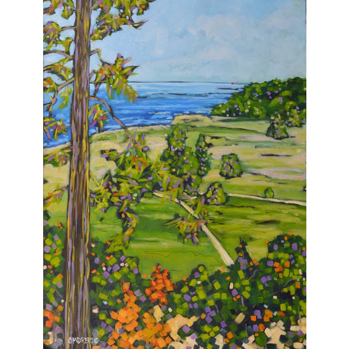 Impresión "En el Acantilado" Dunas de Arena Rosy Mound Lago - Arte de Pared para venta al por mayor de Dreese Fine Art