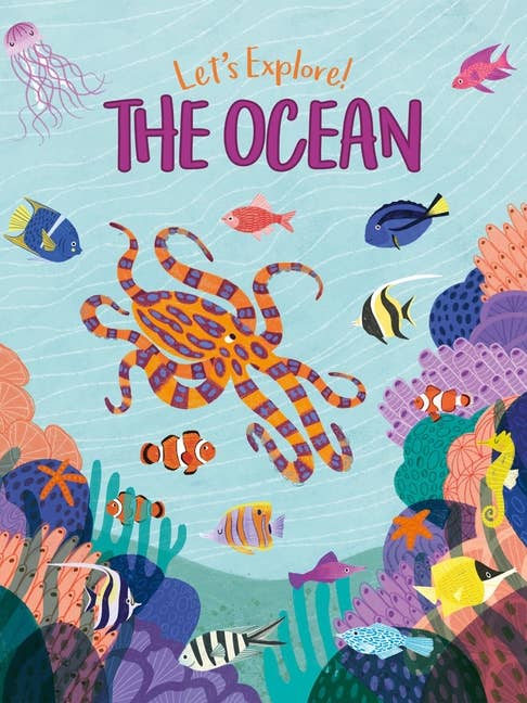 Let's Explore! The Ocean for wholesale by Bradley's Book Clearance