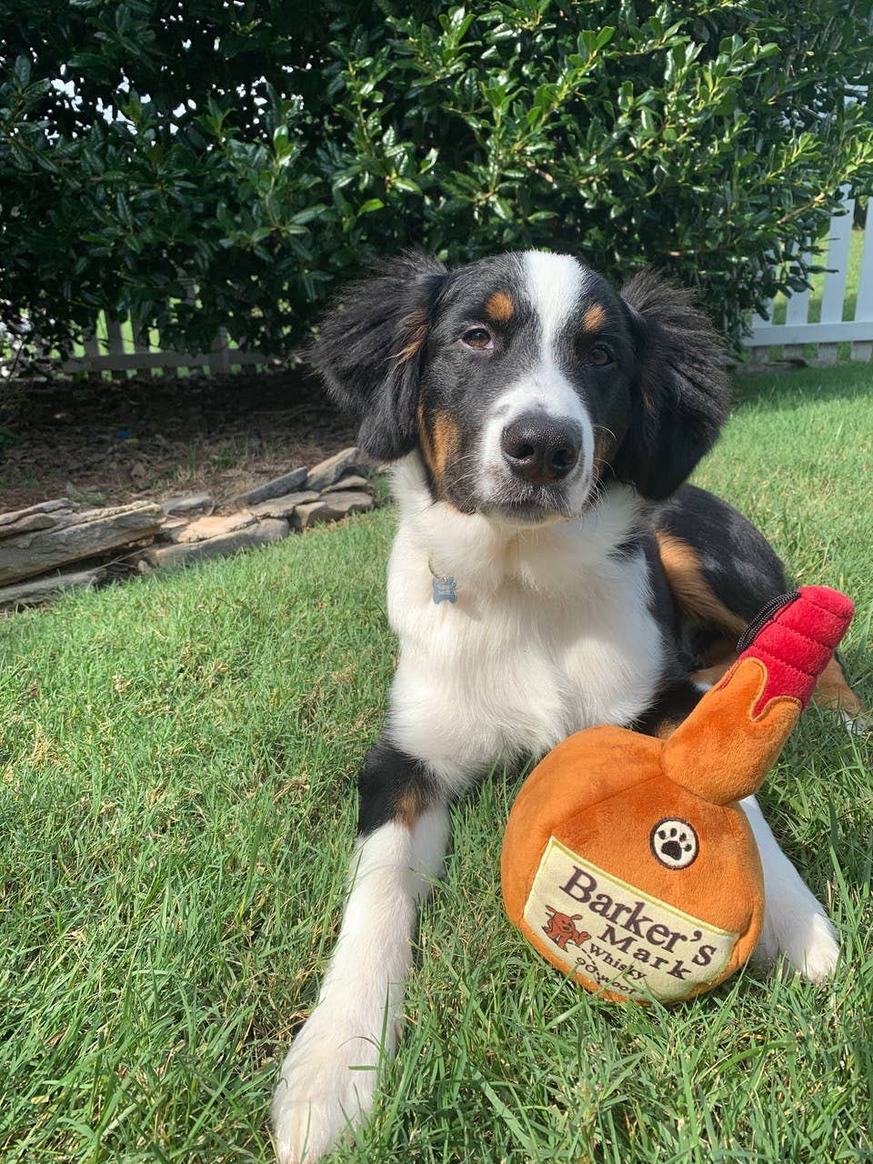 Huxley & Kent - Wholesale Pet Plush Toy - Dog - Barkers Mark Dog Toy1