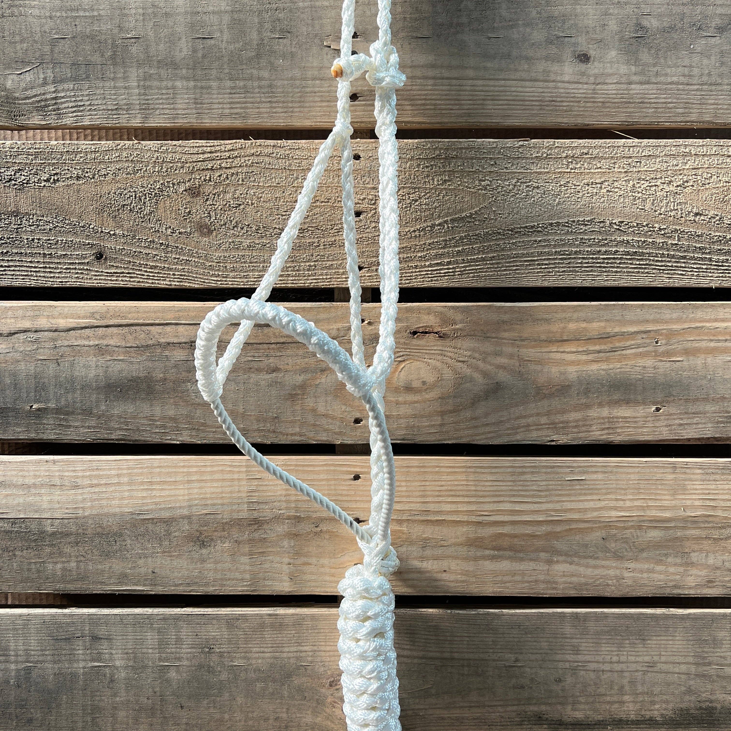 Rodeo Drive – Großhandel Reitausrüstung – Lariat Mule Tape Halfter, verschiedene Farben6