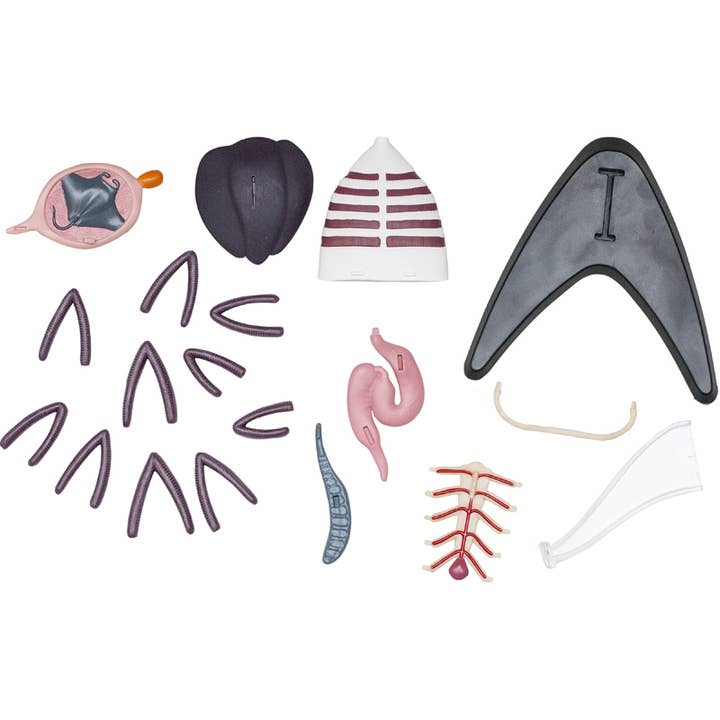 TEDCO Toys - Wholesale Classic Toy - Kids - 4D Manta Ray6