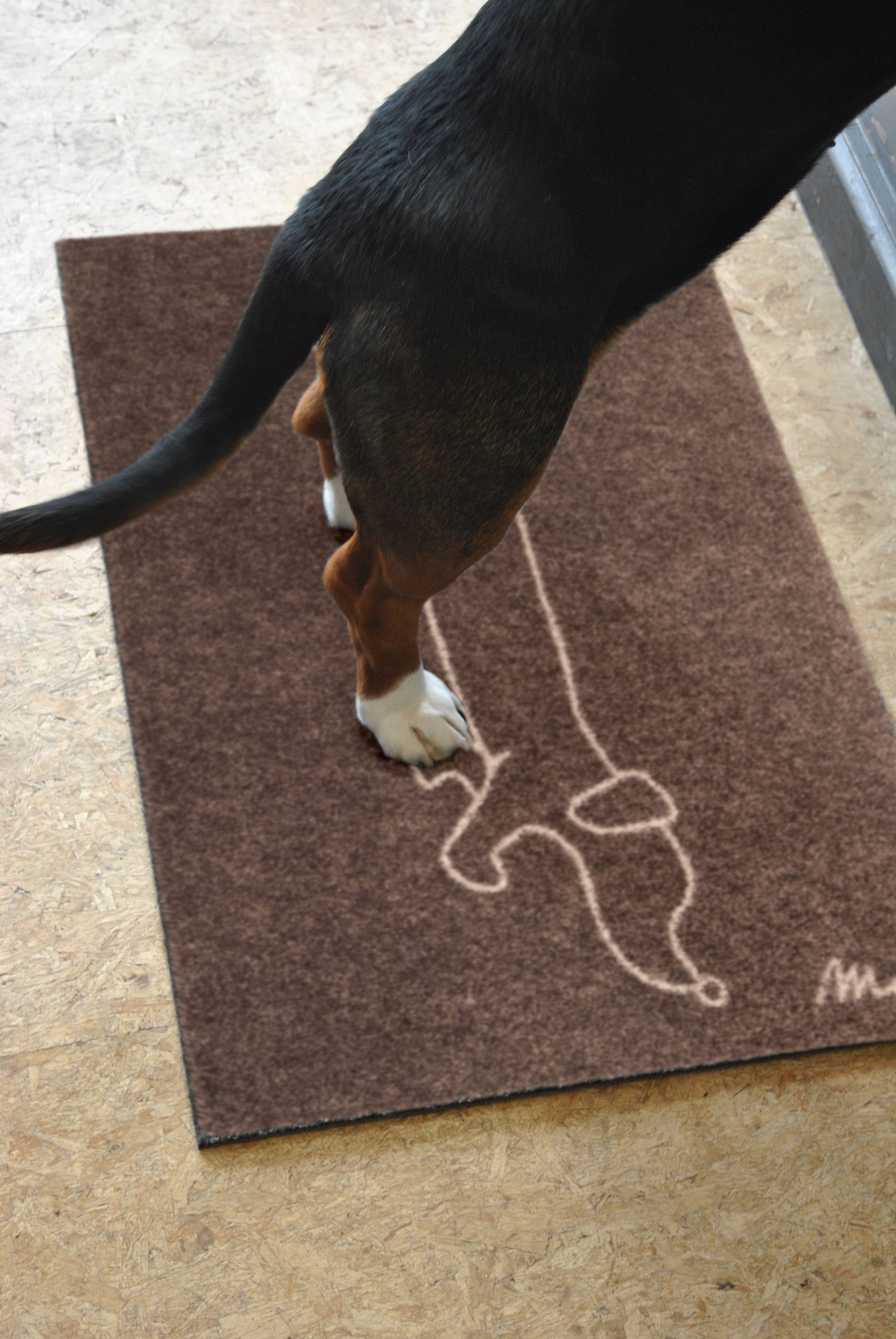 MAD ABOUT MATS - Wholesale Door Mat - CANDY1