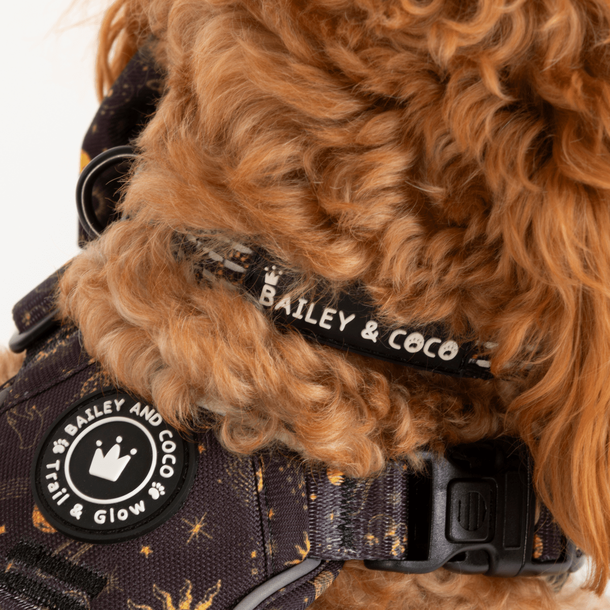 Bailey and Coco - Venta al por mayor Collar - Perros - Collar Trail & Glow® - Celestial1