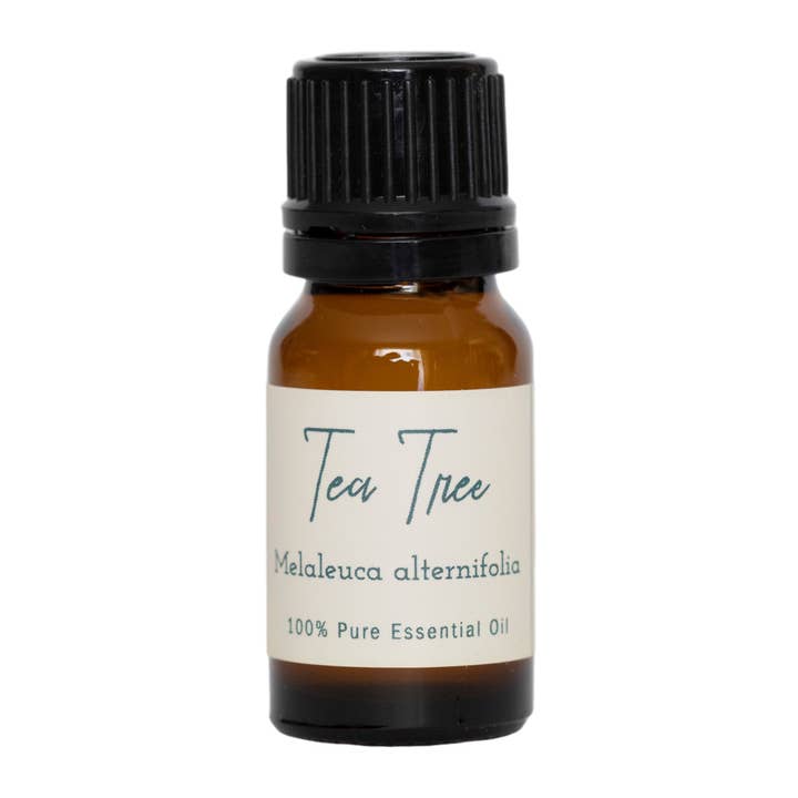 Óleo essencial de tea tree por atacado de Young Gentry