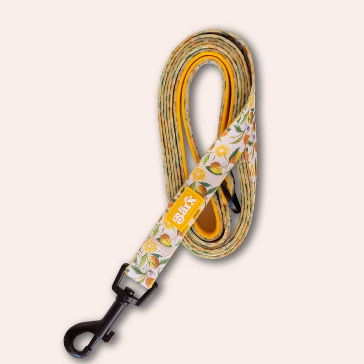 Snor | Limoncello for engroshandel hos Barx