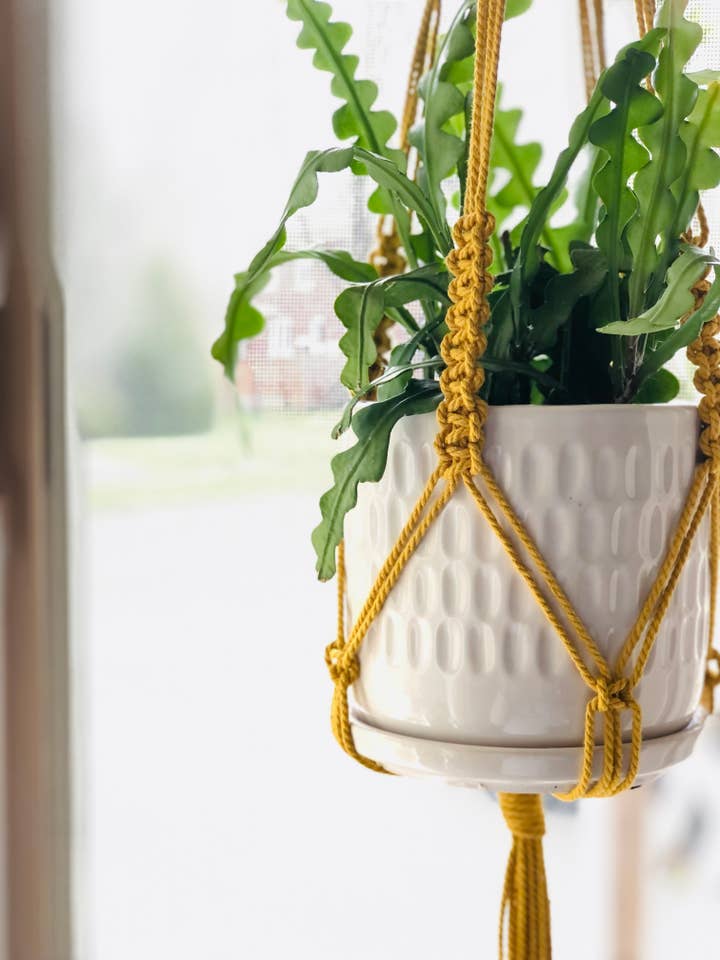 Hangende plantenbak, Macrame plantenbak, Kleine plantenhanger voor wholesale door Make My Day Design