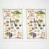 Olive Loom - Wholesale Tea Towel - Designer Kitchen Towels7