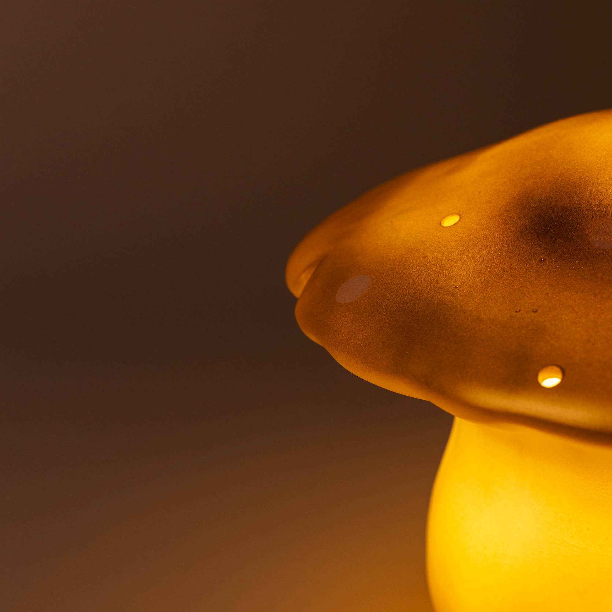 Egmont - Vente Lampes figurine - Champignon moyen or avec prise4