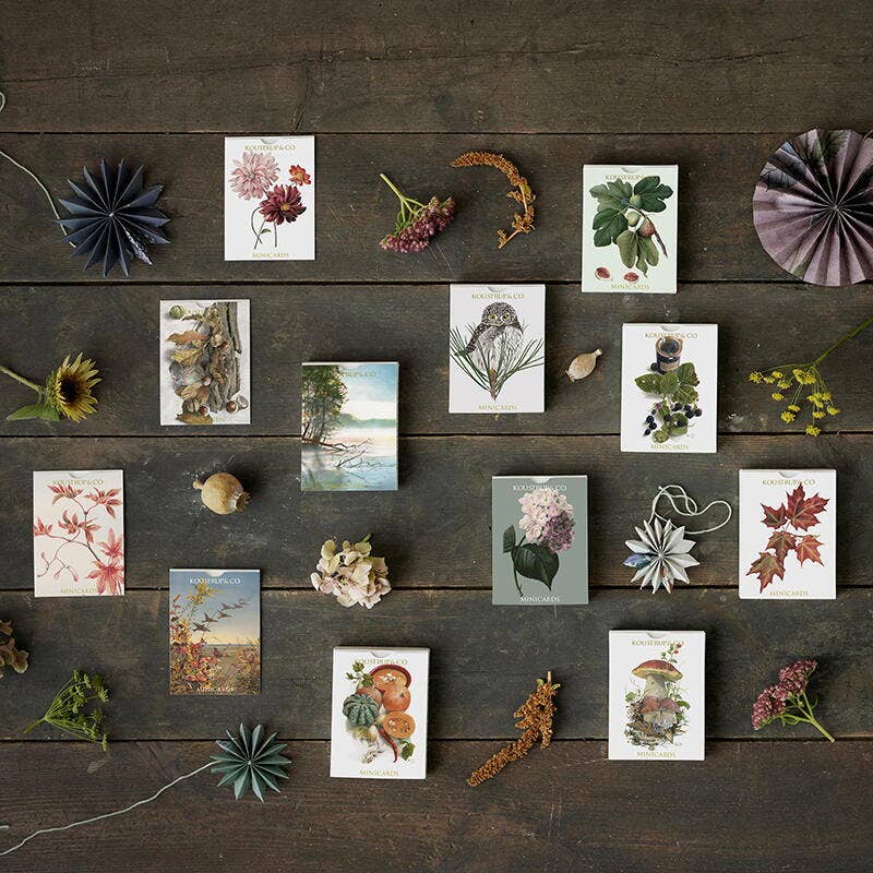 Koustrupco – Großhandel Grußkarten für den Alltag – Minicards Herbthortensia1