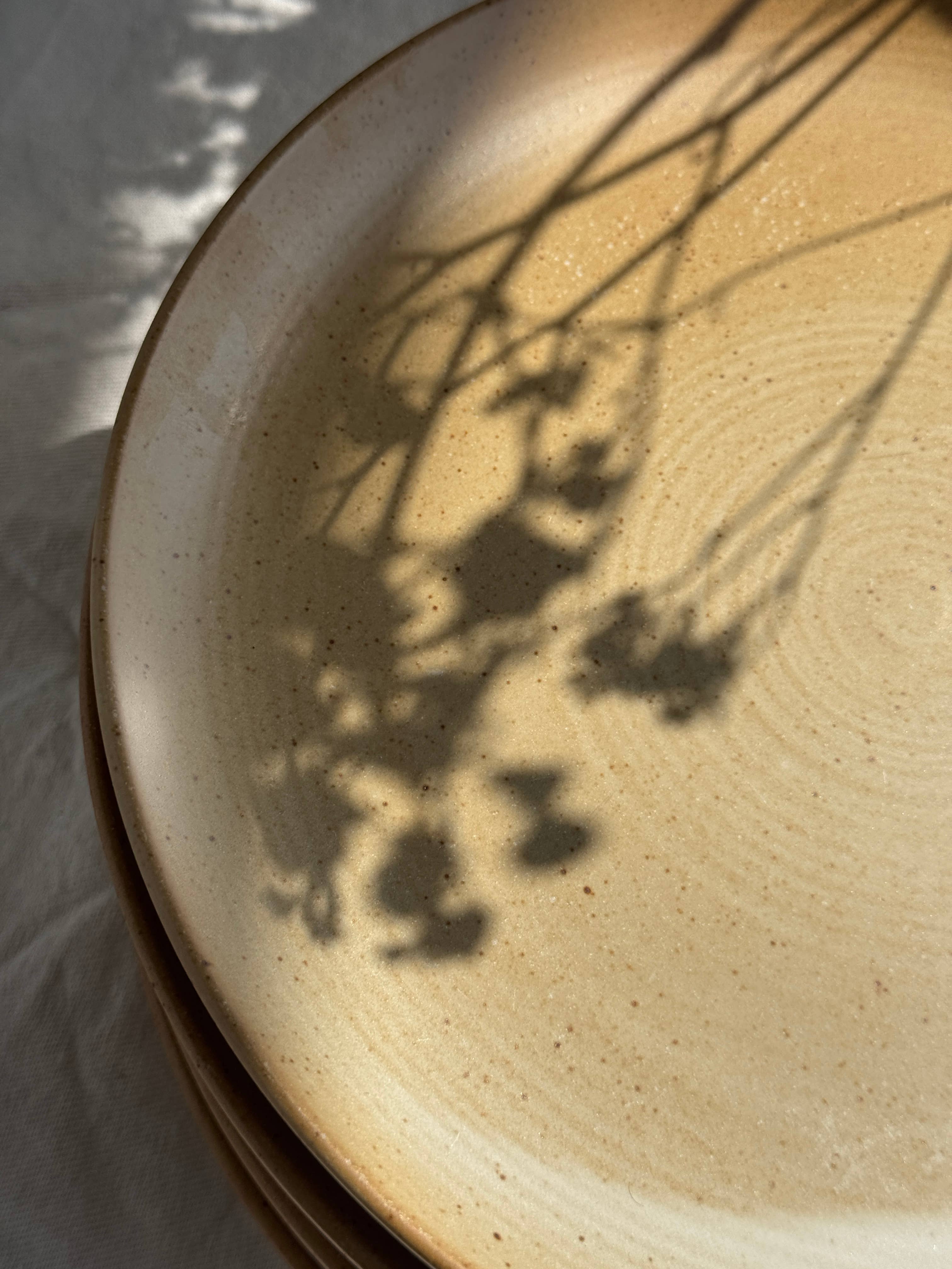 Office Objets - Wholesale Dinner Plate - Set of 6 stoneware plates Village France D2435