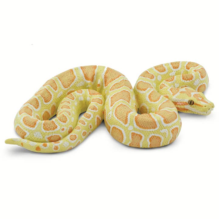 Safari Ltd. - Wholesale Decorative Figurine - Albino Burmese Python - 100250