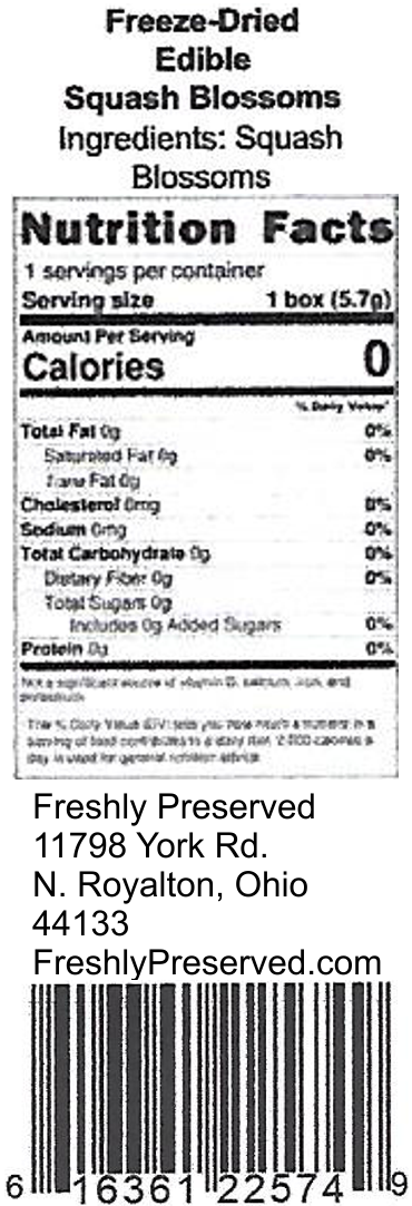 Freshly Preserved - Wholesale Dried/Dehydrated Vegetables - Freeze-dried Edible Squash Blossom1