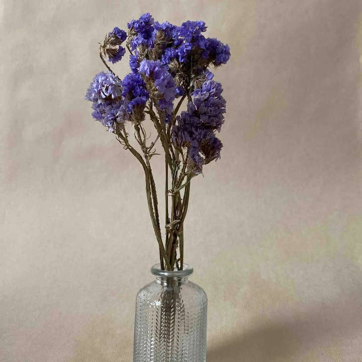 Florir - Wholesale Dried/Pressed Flowers - Purple dried flowers, Statices4