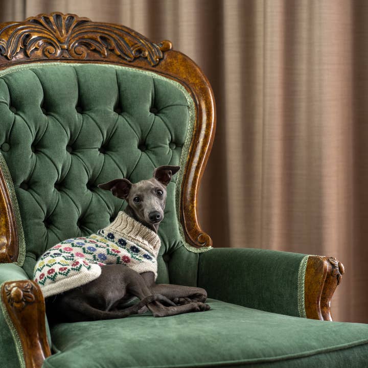 Alqo Wasi - Wholesale Pet Sweater - Dog - Flower Alpaca Dog Sweater7