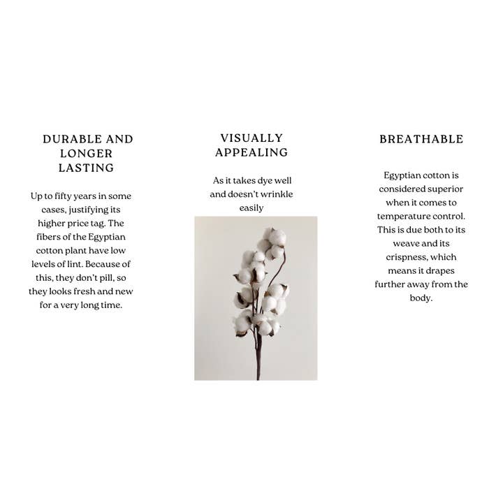 The Nile Threads - Wholesale Sheet set - Luxury Egyptian Cotton Bedsheet Set6