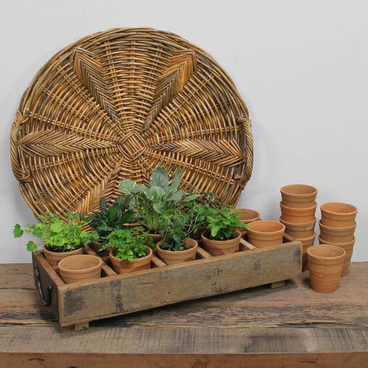 HomArt – Großhandel Blumentopf – Campo Wood Caddy mit 10 Tonbechern