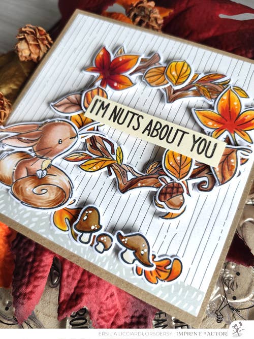 Impronte D'Autore - Wholesale Rubber/Decorative Stamp - Clear polymer stamps Nutty Explorers5