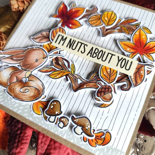 Impronte D'Autore - Wholesale Rubber/Decorative Stamp - Clear polymer stamps Nutty Explorers5