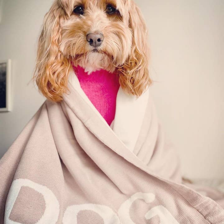 Louis Barx - Vente Couverture – chien - Couverture douillette pour chien2