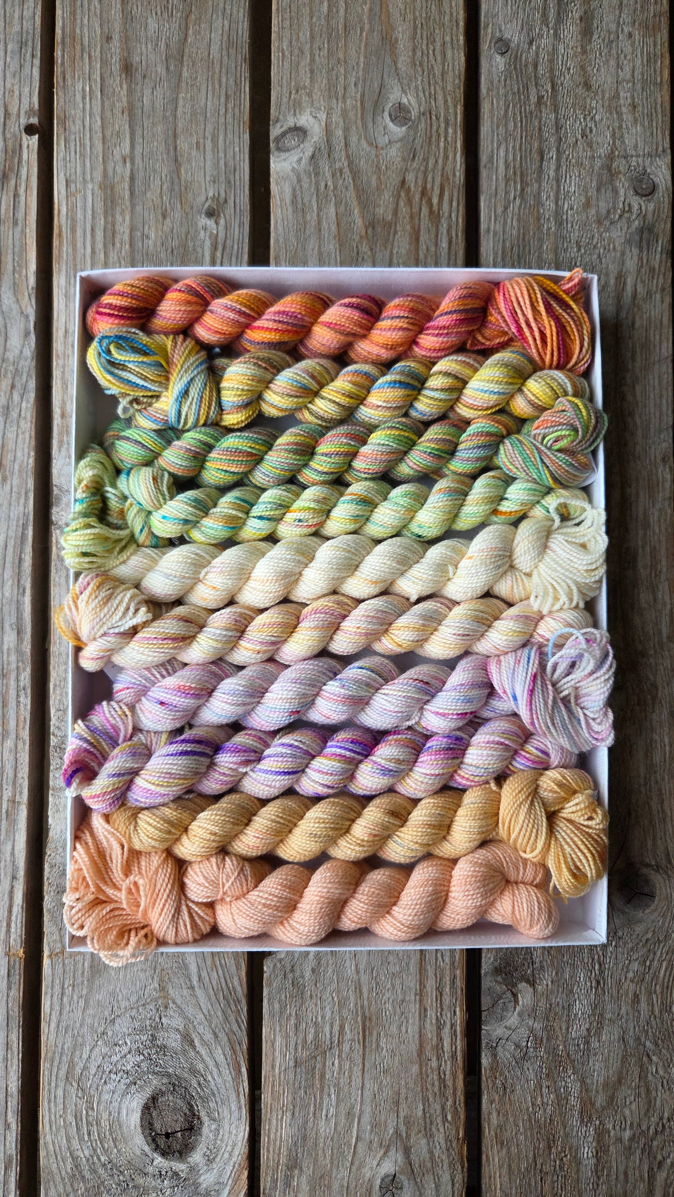 Koigu Wool Designs – Großhandel Garn – Bridgerton Stifteboxen3