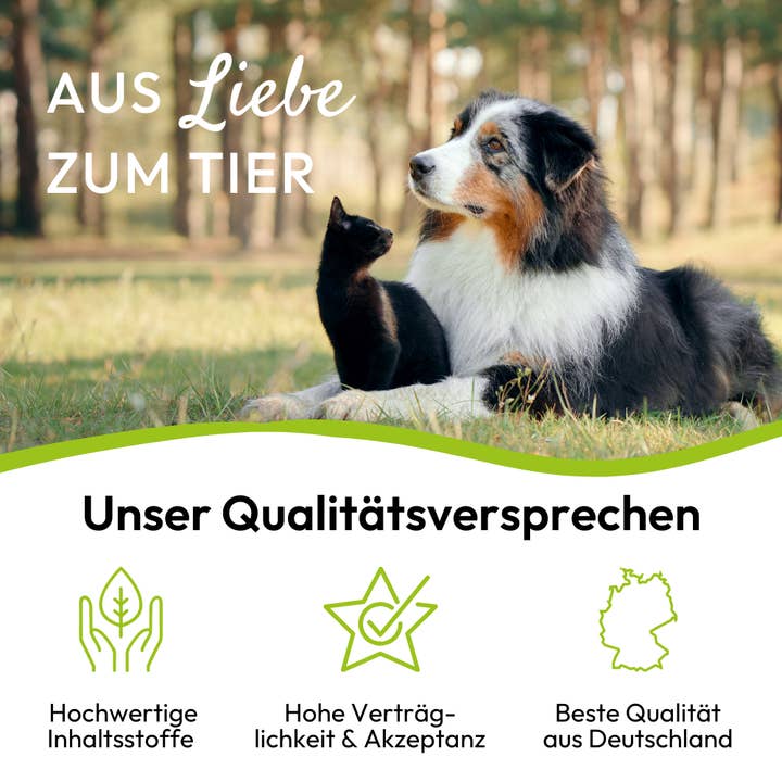 Kauartikel.com GmbH - Wholesale Pet Supplement - Cat/Dog - PHA vitamin paste for cats 100ml (5 pieces)