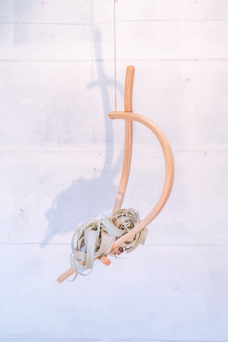 Horsemen Co. - Wholesale Hanging Planter - Sail Wood Plant Hanger, Hanging Planter Indoor, Indoor Hanging Planter, Air Plant Holder4