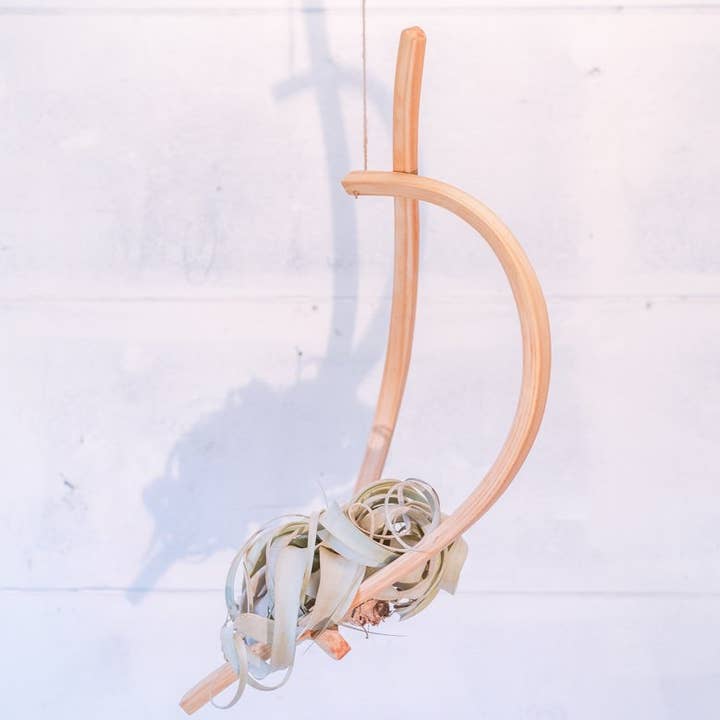 Horsemen Co. - Wholesale Hanging Planter - Sail Wood Plant Hanger, Hanging Planter Indoor, Indoor Hanging Planter, Air Plant Holder4