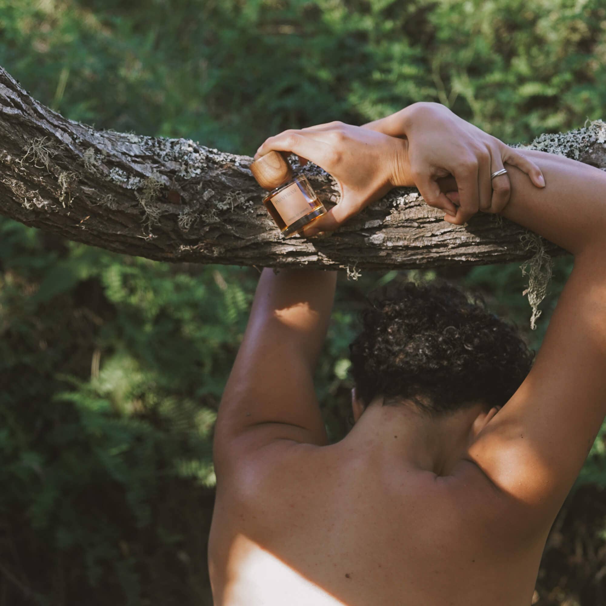 Paraphrase Perfume - Wholesale Perfume/Eau de Toilette - TROUBLED SPIRITS | WARM, BOOZY AMBER2