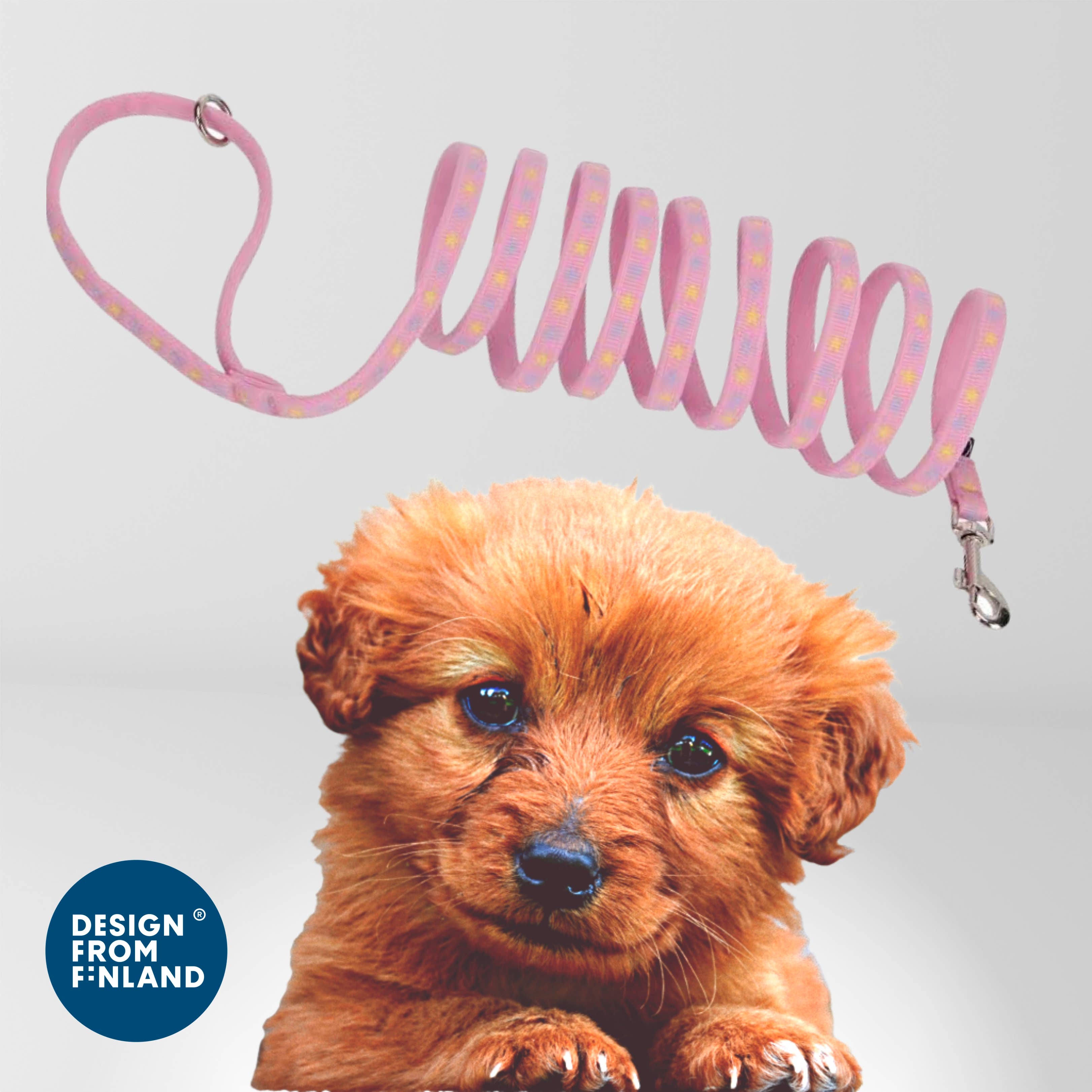 FINNERO – trela - Cão por atacado – Guia Macia FINNERO BAMBINO para Filhotes, 3 Cores10