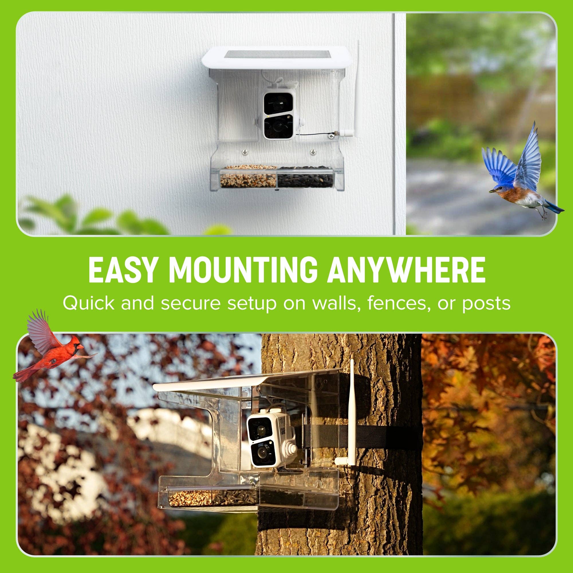 Nature Anywhere - Wholesale Bird Feeder - Nest-Flix Smart Bird Feeder with Camera6