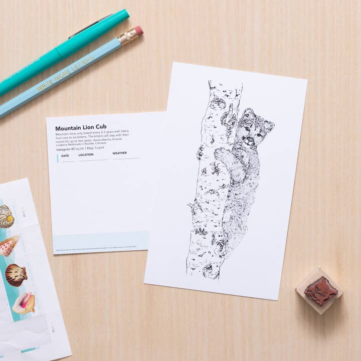 Mountain Lion Cub Art for wholesale by Coy Ink Studio