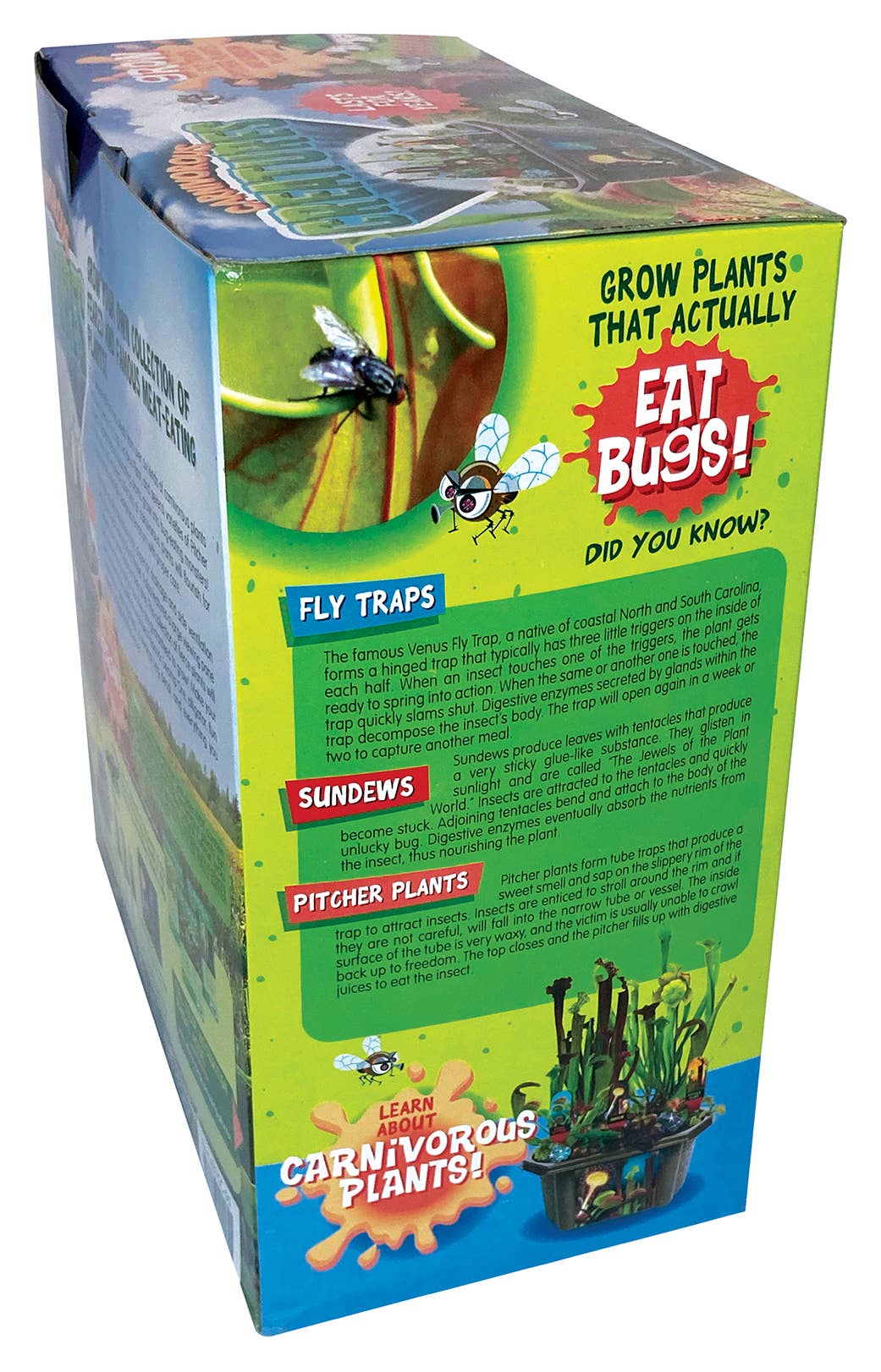 Silver Circle Products - Wholesale DIY Craft Kit - Kids - Carnivorous Creatures Biosphere Meat-Eating Terrarium Kit4