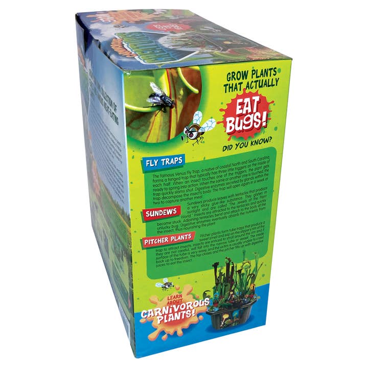 Silver Circle Products - Wholesale DIY Craft Kit - Kids - Carnivorous Creatures Biosphere Meat-Eating Terrarium Kit4
