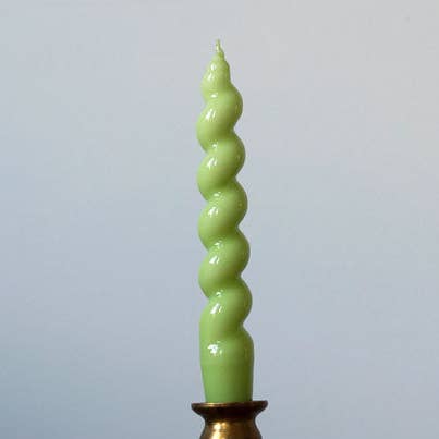 Turtle for wholesale by Suzumi Store