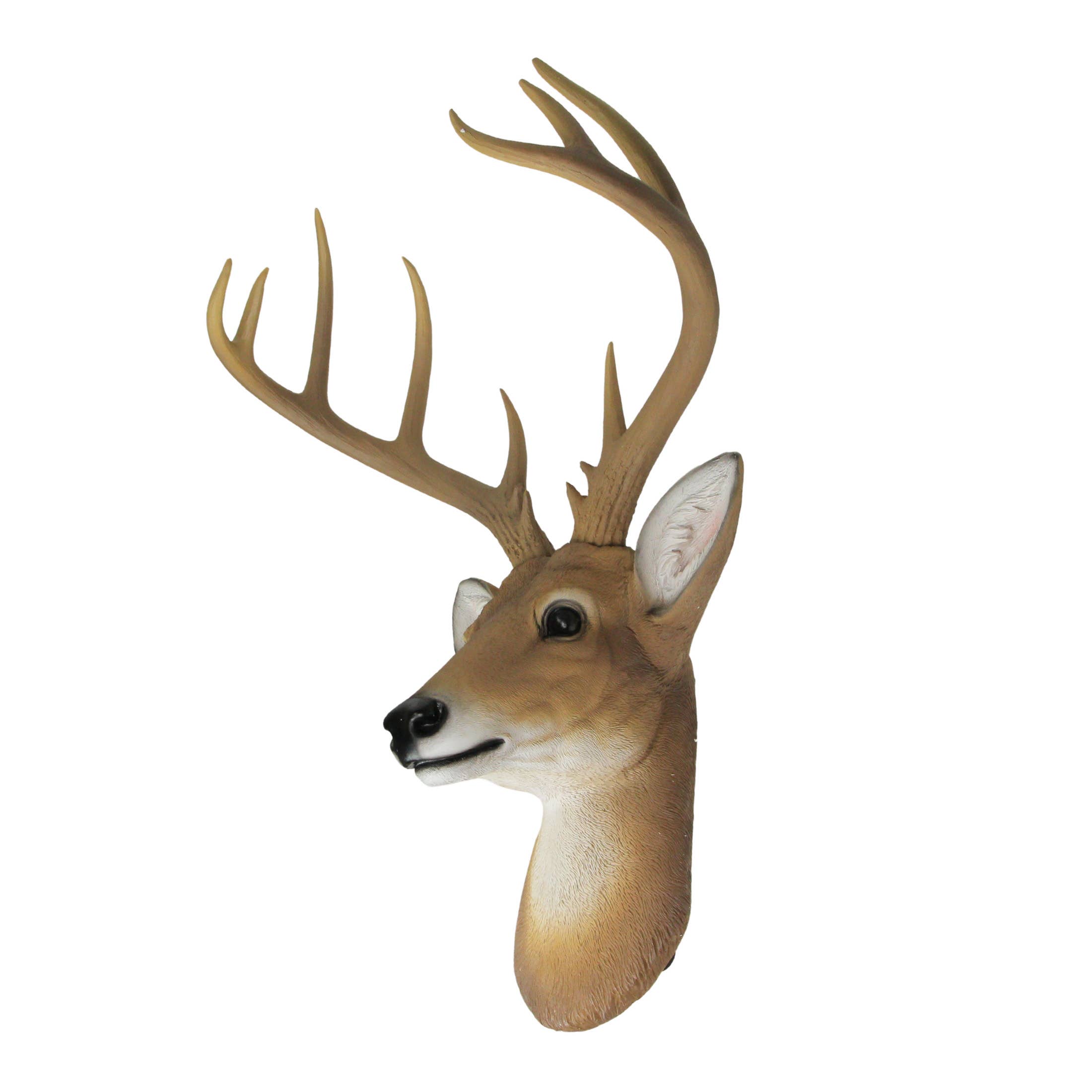 Zeckos - Wholesale Wall Accent - 12 Point Buck Deer Head Bust Wall Hanging 23.5 Inches6