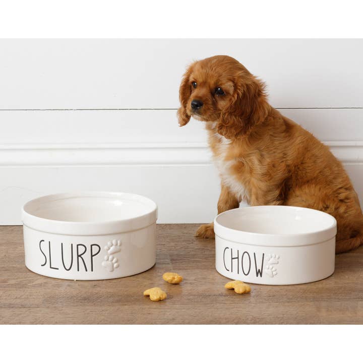 Audrey's Home & Gift - Wholesale Pet Bowl - Cat/Dog - Ceramic Dog Bowls - Slurp And Chow (Set Of 02)