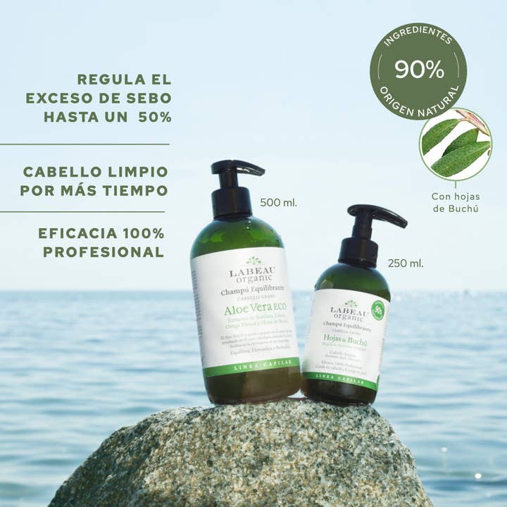 Balancing shampoo - oily hair (250ml) for wholesale by Labeau Organic