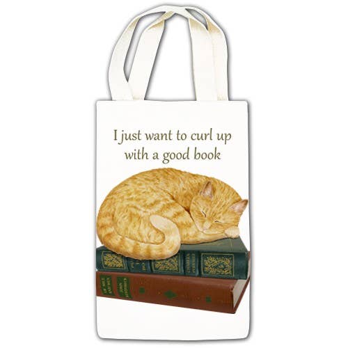 Gourmet Gift Caddy 19-531 Cat On Books for wholesale by Alice's Cottage
