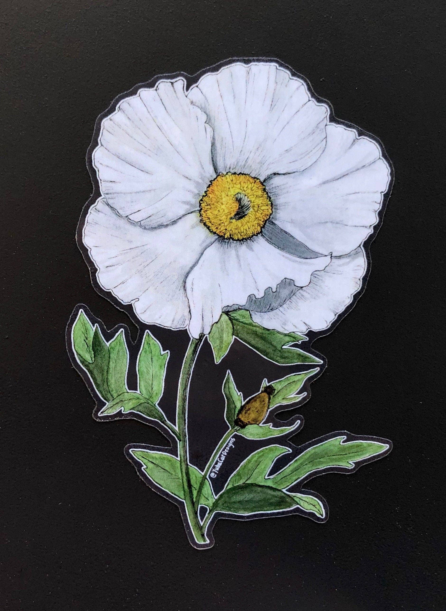 YubaCat Designs - Wholesale Sticker - Matilija Poppy sticker3