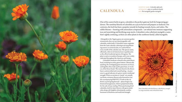 HarperCollins - Wholesale Nature & Outdoors Book - Healing Garden, The: Juliet Blankespoor7