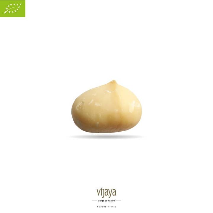 VIJAYA - SAS J.L. BOYERE - Wholesale Nuts - Whole Macadamia Nuts - KENYA - Style 0 - 5 Kg -Organic*