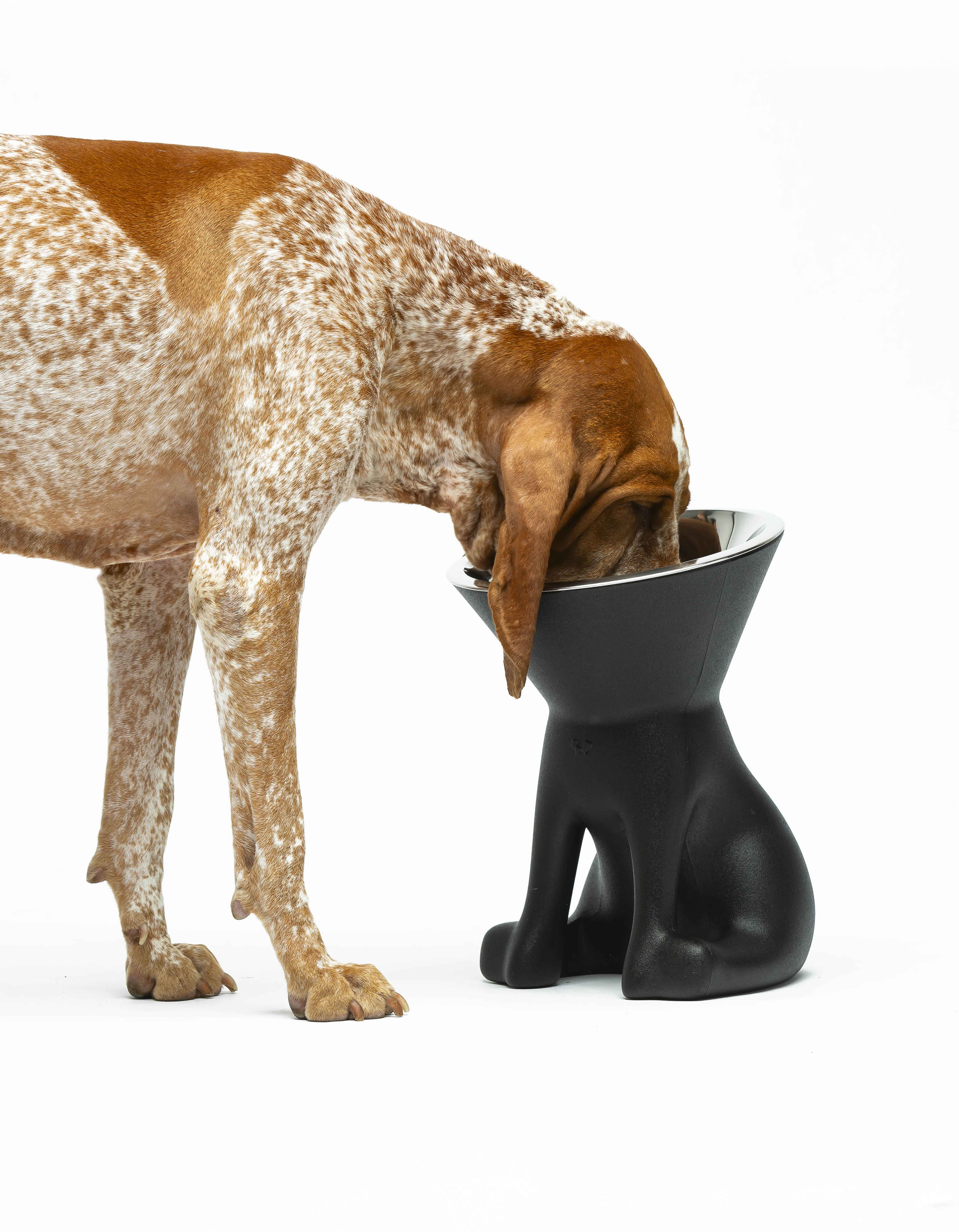 United Pets - Vente Gamelle – chat et chien - Elizabeth : gamelle surélevée pour chien22