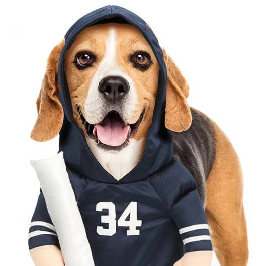 Show & Tail - Wholesale Pet costume – Dog - Pet Apparel - The Stanley Pup0