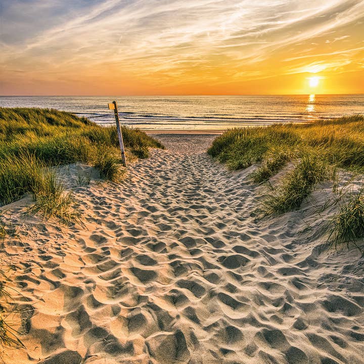 brancard voor wholesale door Bönninghoff