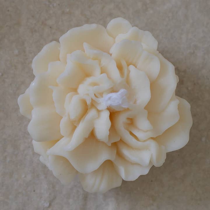 Bougie BABY BLOOM - cire de soja pour la vente par Studio Firaora