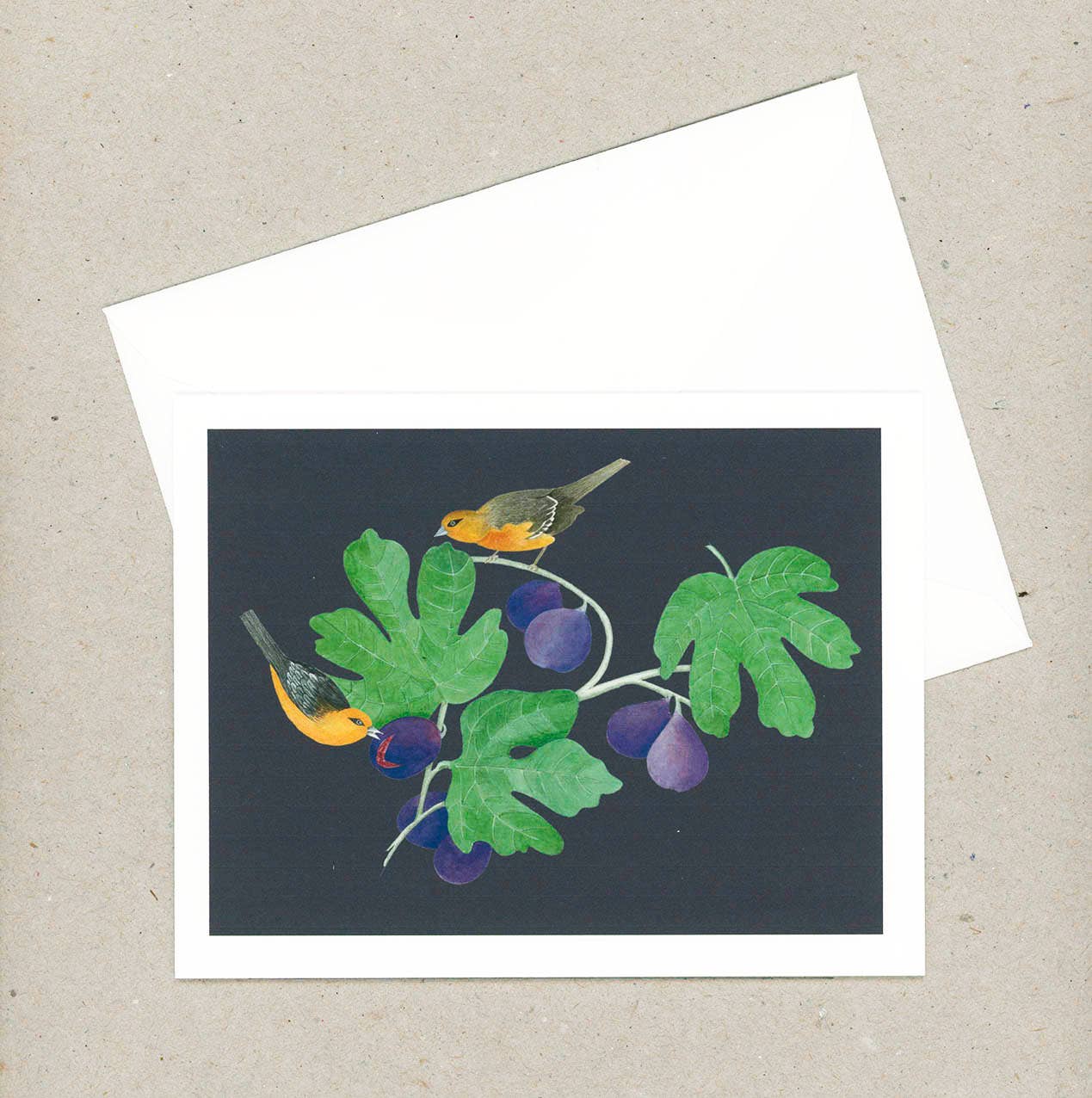 VMazzoni - Wholesale Stationery/Notecard Set - Boxed Botanical Note Cards Set of Six4