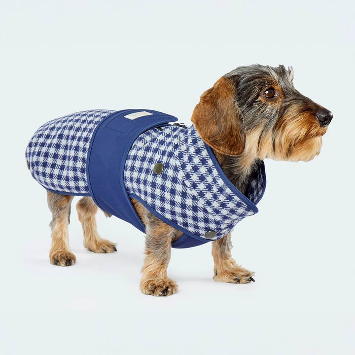 Hondenjas wol softshell Vichy ruit blauw voor wholesale door Leopold's Finest for dogs