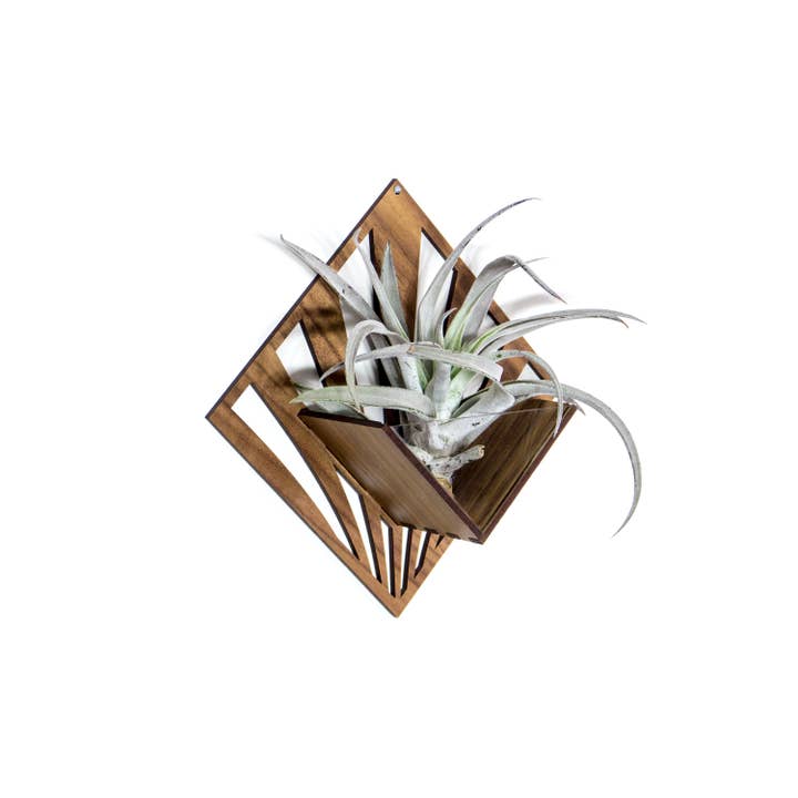 LIGHT RAZOR DESIGN STUDIO - Wholesale Wall planter - Air Plant Holder / Quadrate Wall Hanging Planter 217