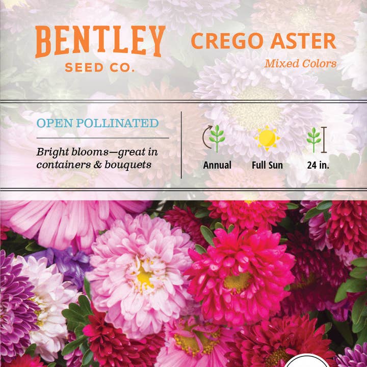 Bentley Seed Co. - Wholesale Plant Seeds - Aster, Crego Mixed Colors Seed Packets